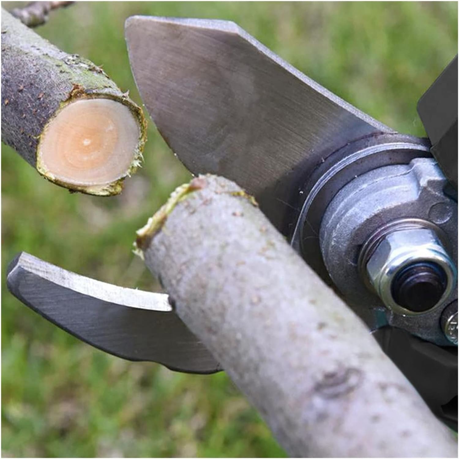 Vimollo-Akumulatorske-Makaze-za-Orezivanje-6