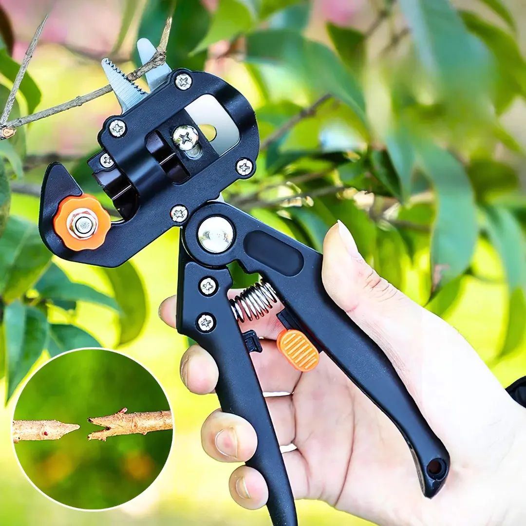 vimollo-makaze-za-kalemljenje-1