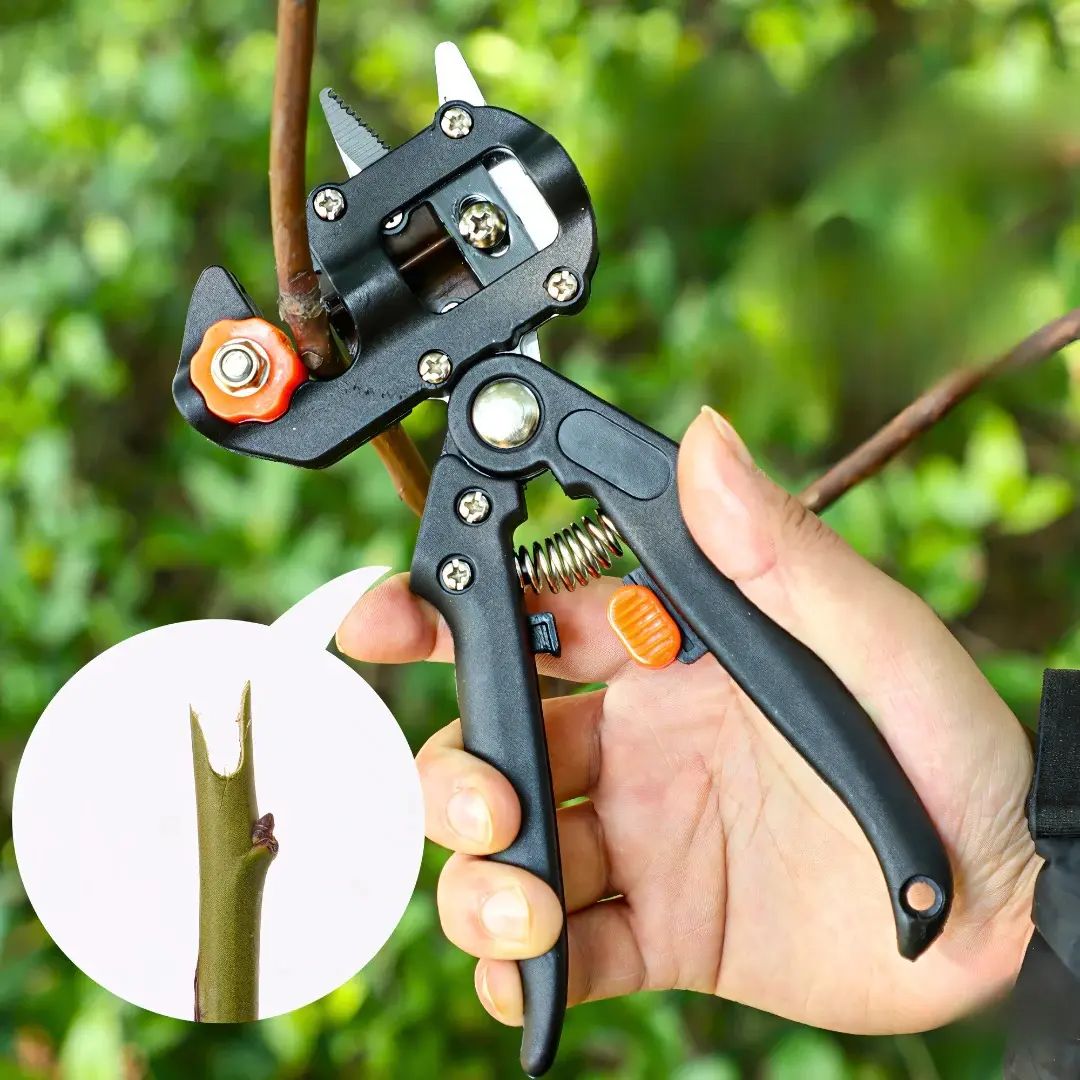 vimollo-makaze-za-kalemljenje-4