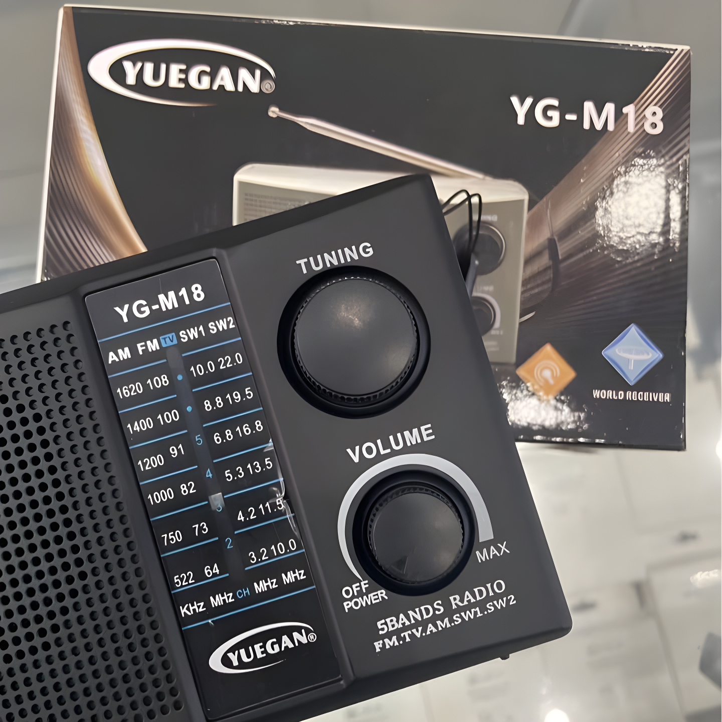 Radio Yuegan YG-M18